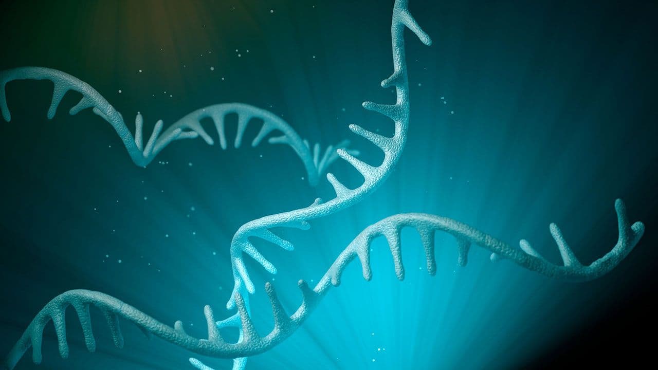 Excipients Impact Stability in mRNA-LNP Formulations