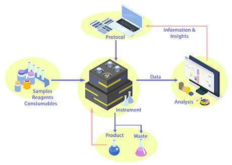 H.E.L_Group_Figure 1_460.jpg