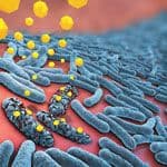 Fighting Bacterial Resistance with Biologics