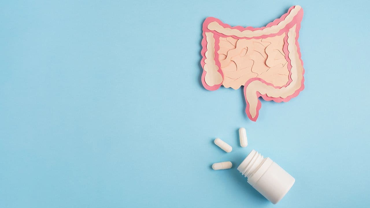 Intestine decorative model with pills on light blue background. Probiotics and prebiotics for microbiome intestine, healthy digestion concept. Top view, flat lay, copy space | Image Credit: © Elena - Stock.adobe.com