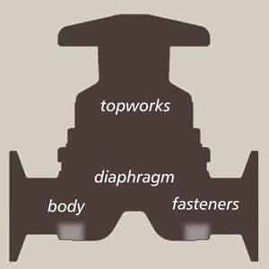 PT0916_troubleshoot_Fig1TypicalValve_300.jpg