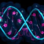 Can RNA Simplify Gene Therapy Development?