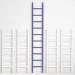 Choices for Climbing the Career Ladder