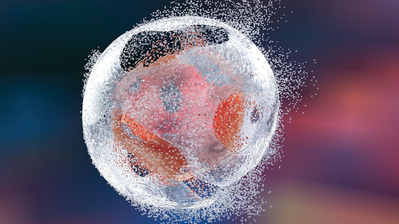 Cell lysis. Destruction of a cell. Can be used to illustrate effect of drugs, medicines, microbes, nanoparticles, apoptosis | Image Credit: © Dr_Microbe - © Dr_Microbe - stock.adobe.com