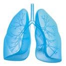 Targeting the Lungs