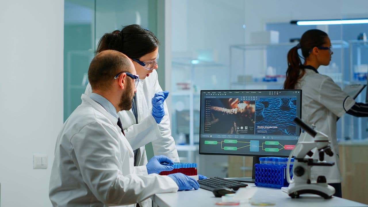 Team medical scientist conducting DNA experiments looking in computer holding test tube with blood sample working in science laboratory. Lab engineers in white coat analysing vaccine development | Image Credit: © DC Studio - © DC Studio - stock.adobe.com