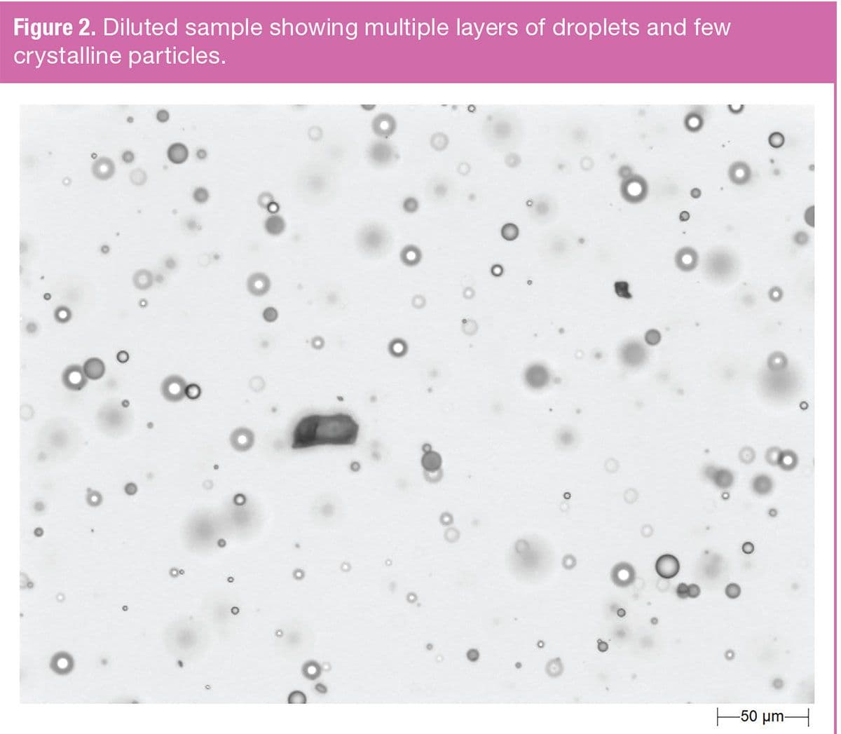 Figure 2. Diluted sample showing multiple layers of droplets and few crystalline particles.