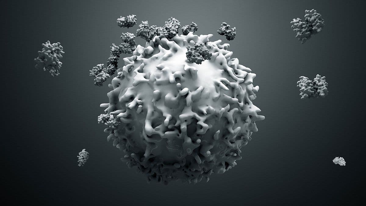 3d illustration proteins with lymphocytes , t cells or cancer cells | Image credit: ©Design Cells - stock.adobe.com