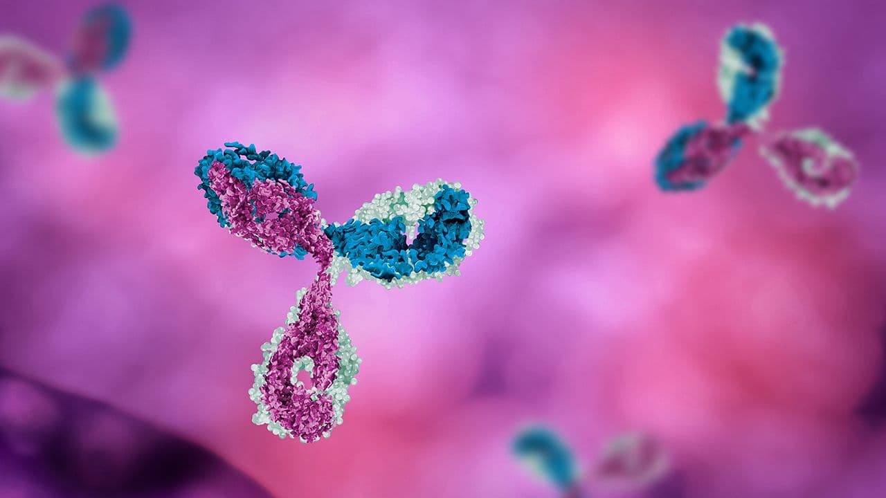 antibody medical science microbiology | Image Credit: © Mirror-images - Stock.adobe.com