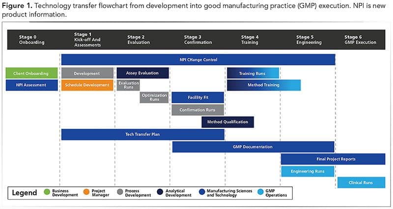 FIGURE IS COURTESY OF THE AUTHORS. Figure 1. Technology transfer flowchart from development into good manufacturing practice (GMP) execution. NPI is new product information.