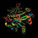 Degradation Pathways: A Case Study with Pegylated L-Asparaginase