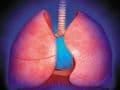 Pulmonary Drug Delivery—Particle Engineering for Inhaled Therapeutics