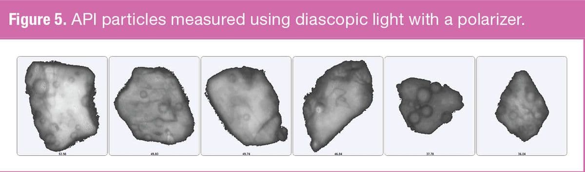 Figure 5. API particles measured using diascopic light with a polarizer. (Figure courtesy of the author)